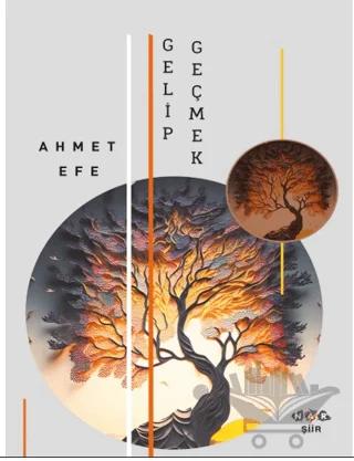 Gelip Geçmek – Ahmet Efe – Nar Yayınları kitap kapağı