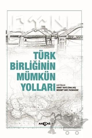 Türk Birliğinin Mümkün Yolları