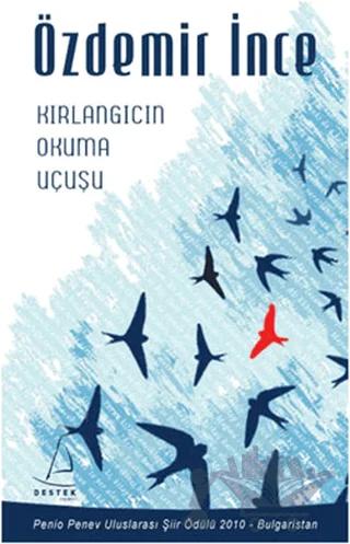 Kırlangıcın Okuma Uçuşu