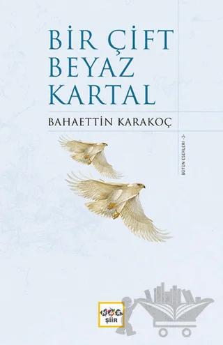 Bir Çift Beyaz Kartal