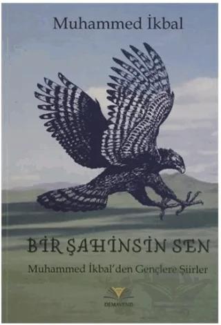 Bir Şahinsin Sen