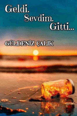 Geldi Sevdim Gitti – Güldeniz Çalık – Dionysos Yayın Group kitap kapağı