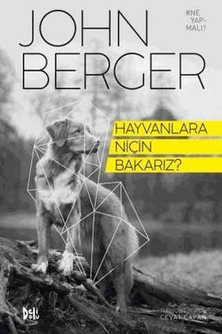 Hayvanlara Niçin Bakarız? – John Berger – Delidolu kitap kapağı