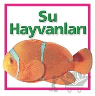 Su Hayvanları – Kolektif – Beta Kids kitap kapağı