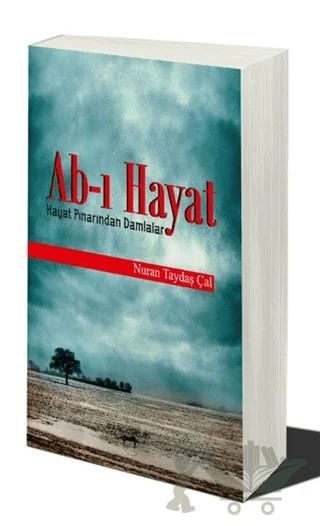 Ab-ı Hayat – Nuran Taydaş Çal – Sokak Kitapları Yayınları kitap kapağı