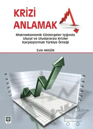 Krizi Anlamak