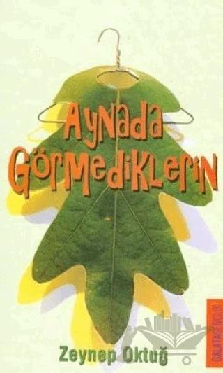 Aynada Görmediklerin
