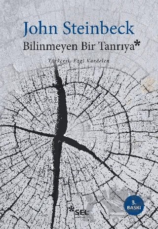 Bilinmeyen Bir Tanrıya – John Steinbeck – Sel Yayıncılık kitap kapağı