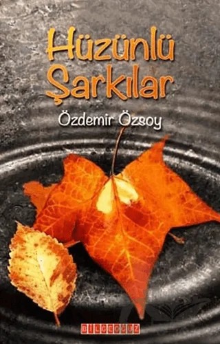 Hüzünlü Şarkılar – Özdemir Özsoy – Bilgeoğuz Yayınları kitap kapağı