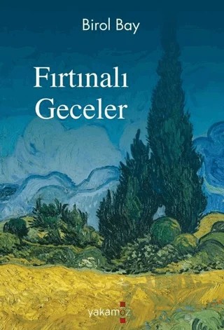 Fırtınalı Geceler – Birol Bay – Yakamoz Yayınevi kitap kapağı
