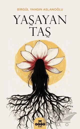 Yaşayan Taş – Birgül Yangın Aslanoğlu – Hece Yayınları kitap kapağı