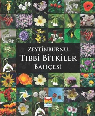 Zeytinburnu Tıbbi Bitkiler Bahçesi