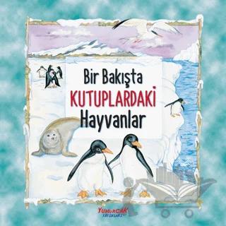 Bir Bakışta Kutuplardaki Hayvanlar