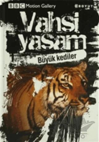 Vahşi Yaşam-Büyük Kediler
