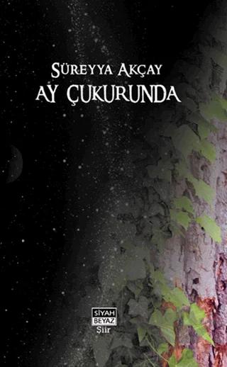 Ay Çukurunda
