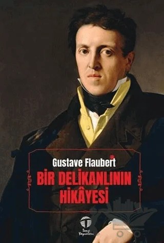 Bir Delikanlının Hikayesi – Gustave Flaubert – Tema Yayınları kitap kapağı