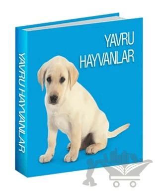 Yavru Hayvanlar