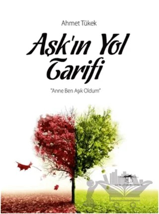 Aşkın Yol Tarifi – Ahmet Tükek – Sokak Kitapları Yayınları kitap kapağı
