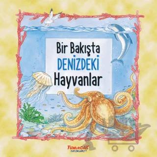 Bir Bakışta Denizdeki Hayvanlar
