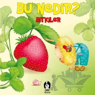 Bitkiler - Bu Nedir?