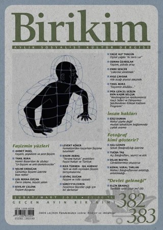 Birikim Aylık Sosyalist Kültür Dergisi Sayı: 382 - 383 Şubat Mart 2021 – Birikim Yayınları kitap kapağı