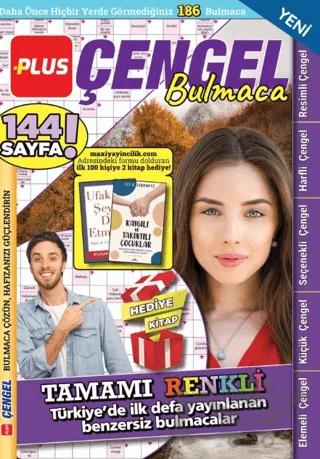 Plus Çengel Bulmaca 15