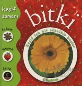 Bitki - Keşif Zamanı – Penelope Arlon – Tudem Yayınları kitap kapağı