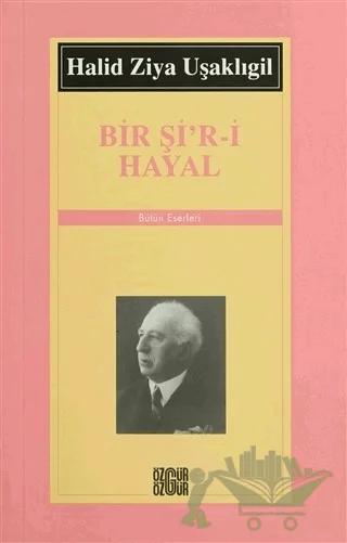 Bir Şi’r-i Hayal