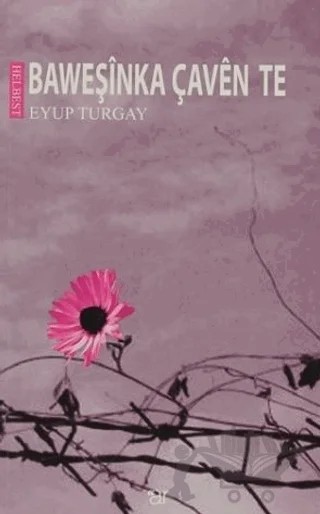Baweşinka Çaven Te – Eyup Turgay – Ar Yayınları kitap kapağı