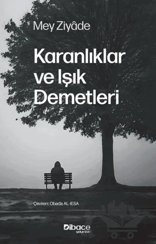 Karanlıklar ve Işık Demetleri – Mey Ziyade – Dibace Yayınları kitap kapağı