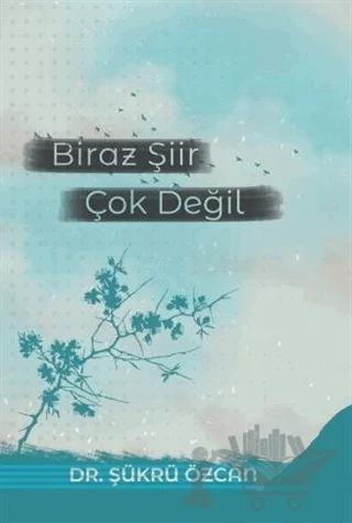 Biraz Şiir Çok Değil