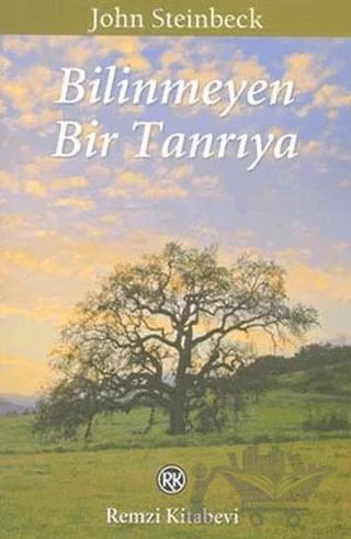 Bilinmeyen Bir Tanrıya