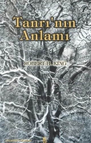Tanrı'nın Anlamı – Robert H. King – İnsan Yayınları kitap kapağı