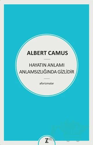 Hayatın Anlamı Anlamsızlığında Gizlidir