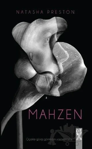 Mahzen – Natasha Preston – Dex Yayınevi kitap kapağı