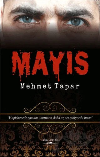 Mayıs – Mehmet Tapar – Sokak Kitapları Yayınları kitap kapağı