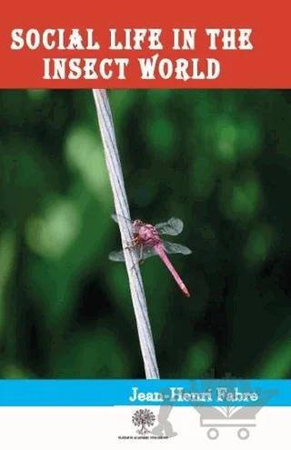 Social Life in the Insect World