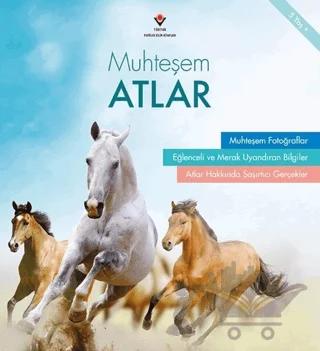 Muhteşem Atlar