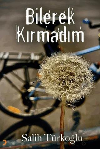Bilerek Kırmadım