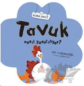 Tavuk Nasıl Yaratılıyor?