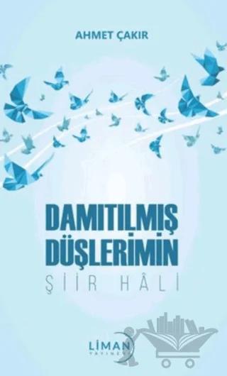 Damıtılmış Şiirlerimin Şiir Hali
