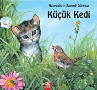 Küçük Kedi