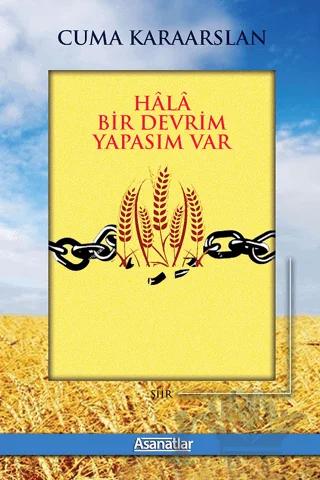 Hala Bir Devrim Yapasım Var
