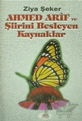 Ahmed Arif ve Şiirini Besleyen Kaynaklar