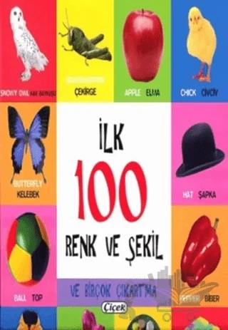 İlk 100 Renk ve Şekil