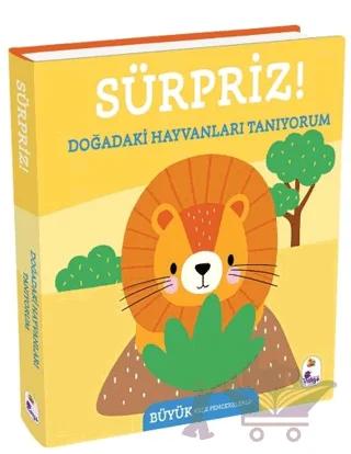 Sürpriz! – Doğadaki Hayvanları Tanıyorum