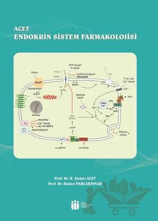ACET Endokrin Sistem Farmakolojisi
