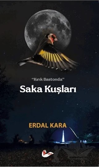 Saka Kuşları – Erdal Kara – Puslu Yayıncılık kitap kapağı