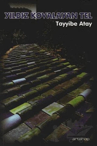Yıldız Kovalayan Tel – Tayyibe Atay – Artshop Yayıncılık kitap kapağı