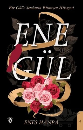 Enegül – Enes Hanpa – Dorlion Yayınları kitap kapağı